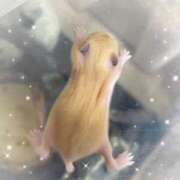 ヒメ日記 2025/01/22 13:13 投稿 琴峰百花 お姉さんCLUB