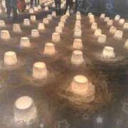 ヒメ日記 2025/02/01 12:22 投稿 琴峰百花 お姉さんCLUB