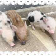 ヒメ日記 2025/02/05 14:09 投稿 琴峰百花 お姉さんCLUB