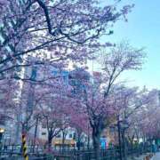 ヒメ日記 2025/05/01 10:12 投稿 琴峰百花 お姉さんCLUB