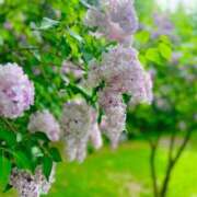 ヒメ日記 2025/06/01 17:13 投稿 琴峰百花 お姉さんCLUB