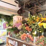 ヒメ日記 2025/06/17 15:33 投稿 琴峰百花 お姉さんCLUB