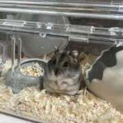 ヒメ日記 2025/06/18 00:03 投稿 琴峰百花 お姉さんCLUB