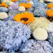 ヒメ日記 2025/06/21 15:04 投稿 琴峰百花 お姉さんCLUB