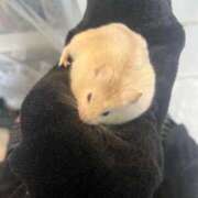 ヒメ日記 2025/06/23 14:03 投稿 琴峰百花 お姉さんCLUB