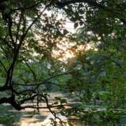 ヒメ日記 2025/06/26 15:42 投稿 琴峰百花 お姉さんCLUB