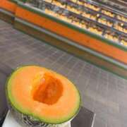 ヒメ日記 2025/08/18 11:12 投稿 琴峰百花 お姉さんCLUB