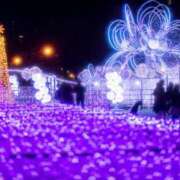 ヒメ日記 2025/12/14 19:33 投稿 琴峰百花 お姉さんCLUB