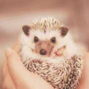 ヒメ日記 2026/01/24 16:34 投稿 琴峰百花 お姉さんCLUB