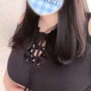 ヒメ日記 2024/12/20 16:40 投稿 みこと 僕らのぽっちゃリーノin春日部