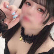 ヒメ日記 2025/09/24 22:10 投稿 みこと 僕らのぽっちゃリーノin春日部