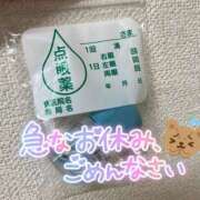 ヒメ日記 2025/01/09 08:03 投稿 つくし 素敵な女の子は好きですか？