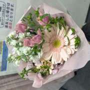 ヒメ日記 2025/03/17 00:21 投稿 まる 神田はっち