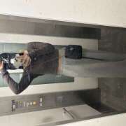 ヒメ日記 2025/04/29 21:32 投稿 まる 神田はっち