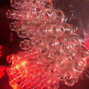 ヒメ日記 2025/09/26 18:11 投稿 まる 神田はっち