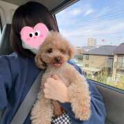 ヒメ日記 2025/11/09 16:07 投稿 まる 神田はっち