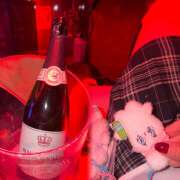 ヒメ日記 2025/12/03 18:09 投稿 まる 神田はっち