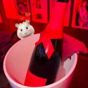 ヒメ日記 2025/12/12 18:32 投稿 まる 神田はっち