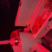 ヒメ日記 2025/12/19 18:30 投稿 まる 神田はっち