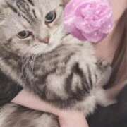 ヒメ日記 2025/10/04 04:12 投稿 一色よぞら 新ハイブリッドエステ エクスタシーPLUS