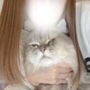 ヒメ日記 2025/11/28 20:42 投稿 一色よぞら 新ハイブリッドエステ エクスタシーPLUS