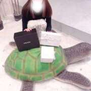 ヒメ日記 2026/02/07 00:32 投稿 一色よぞら 新ハイブリッドエステ エクスタシーPLUS