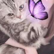 ヒメ日記 2026/04/08 04:32 投稿 一色よぞら 新ハイブリッドエステ エクスタシーPLUS