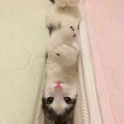 ヒメ日記 2025/03/20 08:56 投稿 えつこ 豊満熟女