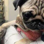 ヒメ日記 2025/07/12 09:20 投稿 えつこ 豊満熟女