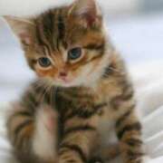 白雪 あや 今日は急遽が出来てお休みします こあくまな熟女たち伊勢崎店（KOAKUMAグループ）