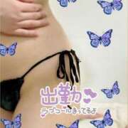 ヒメ日記 2025/03/15 14:04 投稿 ひなた マリンマリン