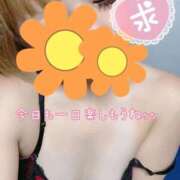 ヒメ日記 2025/07/19 14:26 投稿 滝沢光希 五十路マダム静岡店（カサブランカG）