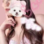 ヒメ日記 2025/04/09 12:00 投稿 かおる 人妻倶楽部内緒の関係 柏店