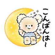 ヒメ日記 2025/02/27 20:54 投稿 白咲花音 五十路マダムエクスプレス船橋店(カサブランカグループ)