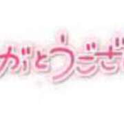 ヒメ日記 2025/03/20 14:24 投稿 白咲花音 五十路マダムエクスプレス船橋店(カサブランカグループ)