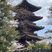 ヒメ日記 2025/04/07 19:52 投稿 白咲花音 五十路マダムエクスプレス船橋店(カサブランカグループ)