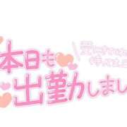 ヒメ日記 2025/04/09 09:16 投稿 白咲花音 五十路マダムエクスプレス船橋店(カサブランカグループ)