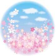 ヒメ日記 2025/04/16 12:12 投稿 白咲花音 五十路マダムエクスプレス船橋店(カサブランカグループ)