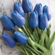 ヒメ日記 2025/05/12 08:38 投稿 白咲花音 五十路マダムエクスプレス船橋店(カサブランカグループ)