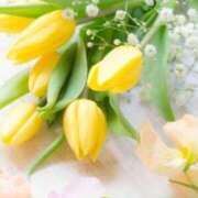 ヒメ日記 2025/06/01 15:30 投稿 白咲花音 五十路マダムエクスプレス船橋店(カサブランカグループ)