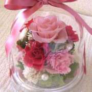 ヒメ日記 2025/06/02 11:52 投稿 白咲花音 五十路マダムエクスプレス船橋店(カサブランカグループ)