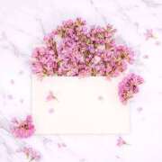 ヒメ日記 2025/06/13 11:12 投稿 白咲花音 五十路マダムエクスプレス船橋店(カサブランカグループ)