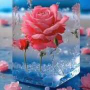 ヒメ日記 2025/06/14 09:42 投稿 白咲花音 五十路マダムエクスプレス船橋店(カサブランカグループ)