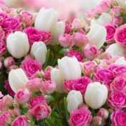 ヒメ日記 2025/06/15 09:54 投稿 白咲花音 五十路マダムエクスプレス船橋店(カサブランカグループ)