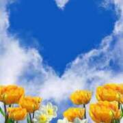 ヒメ日記 2025/06/19 15:30 投稿 白咲花音 五十路マダムエクスプレス船橋店(カサブランカグループ)