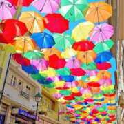 ヒメ日記 2025/06/25 09:46 投稿 白咲花音 五十路マダムエクスプレス船橋店(カサブランカグループ)