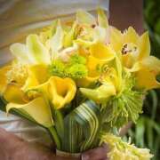 ヒメ日記 2025/06/30 11:34 投稿 白咲花音 五十路マダムエクスプレス船橋店(カサブランカグループ)