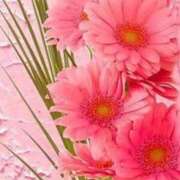 ヒメ日記 2025/07/02 13:14 投稿 白咲花音 五十路マダムエクスプレス船橋店(カサブランカグループ)