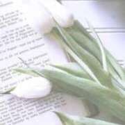 ヒメ日記 2025/07/03 12:20 投稿 白咲花音 五十路マダムエクスプレス船橋店(カサブランカグループ)