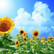 ヒメ日記 2025/07/04 07:42 投稿 白咲花音 五十路マダムエクスプレス船橋店(カサブランカグループ)